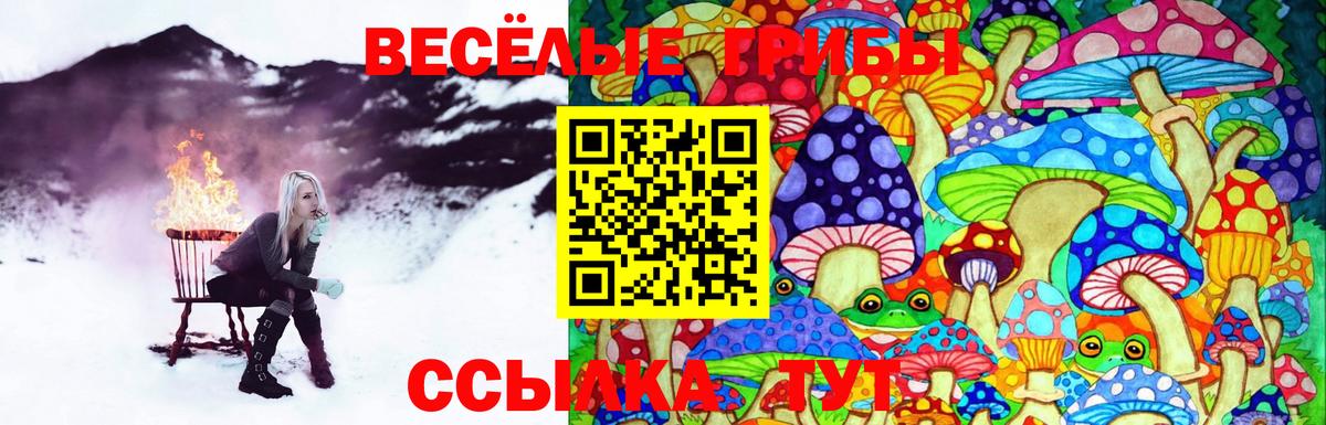 Псилоцибиновые грибы ЛСД Междуреченск