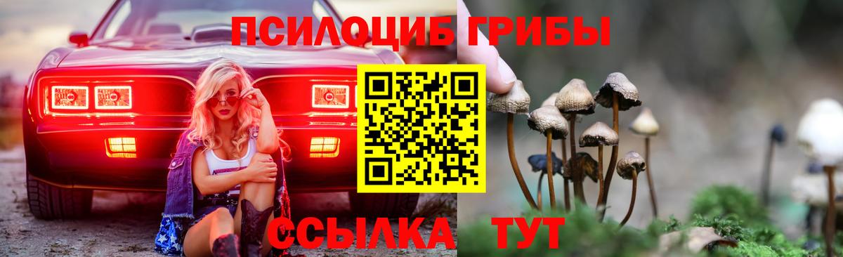 Междуреченск  Галлюциногенные грибы ЛСД  Вход с VPN 